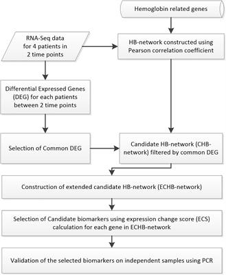 A Systems Analysis of the Relationships Between Anemia and Ischemic Stroke Rehabilitation Based on RNA-Seq Data